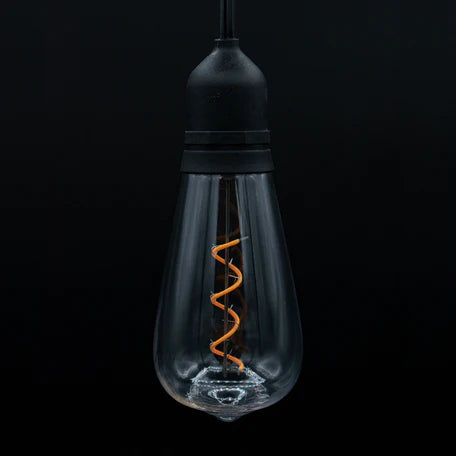 Indoor/Outdoor Plug-in LED String Light, w/ ST64 - Novelty Bulbs, Black - Each