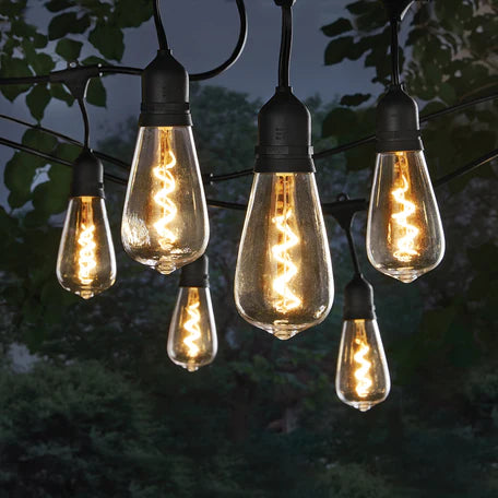 Indoor/Outdoor Plug-in LED String Light, w/ ST64 - Novelty Bulbs, Black - Each